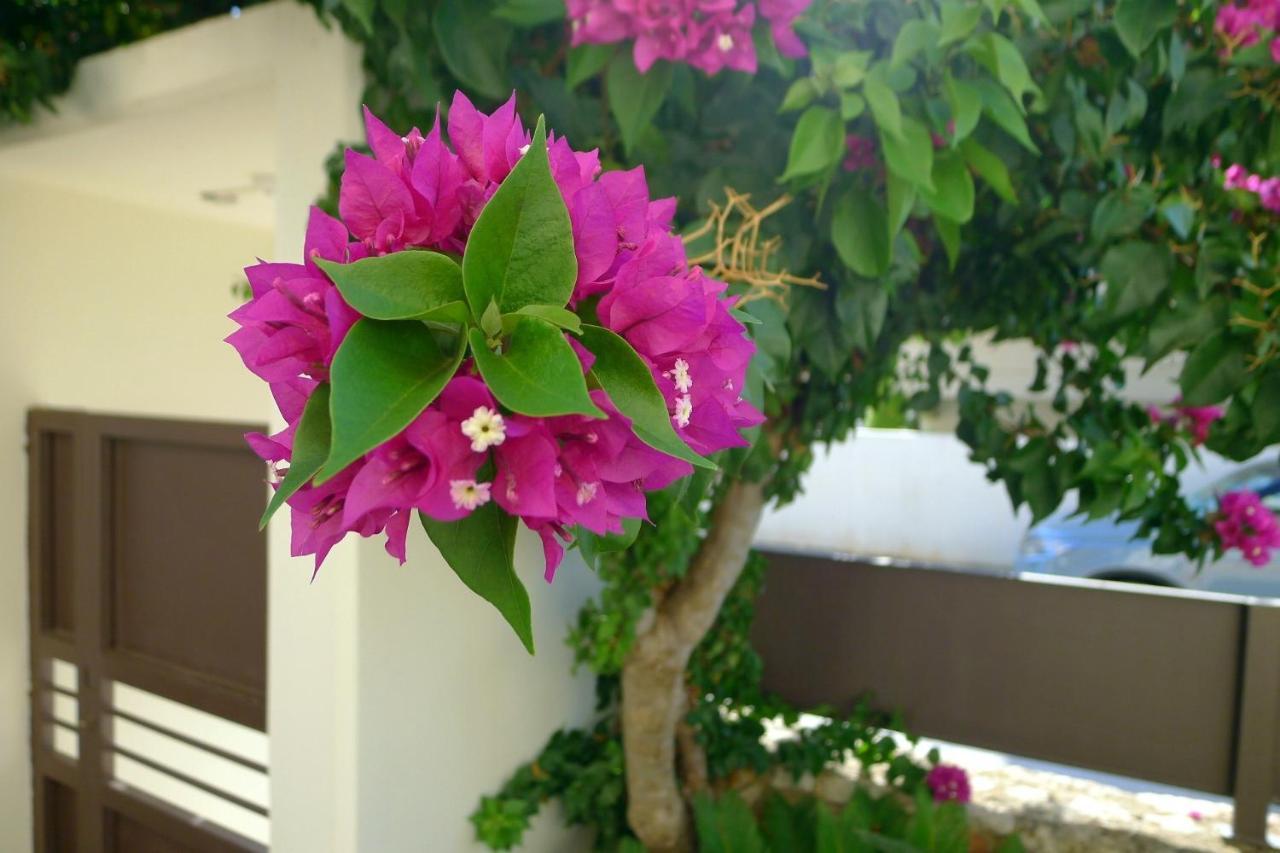 Maria & Manos Guest House, *